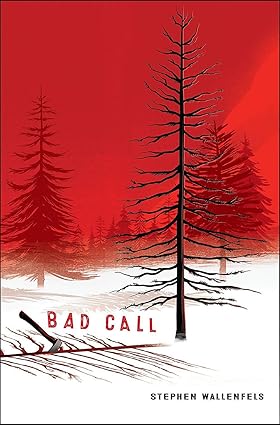 Bad Call Paperback by Stephen Wallenfels