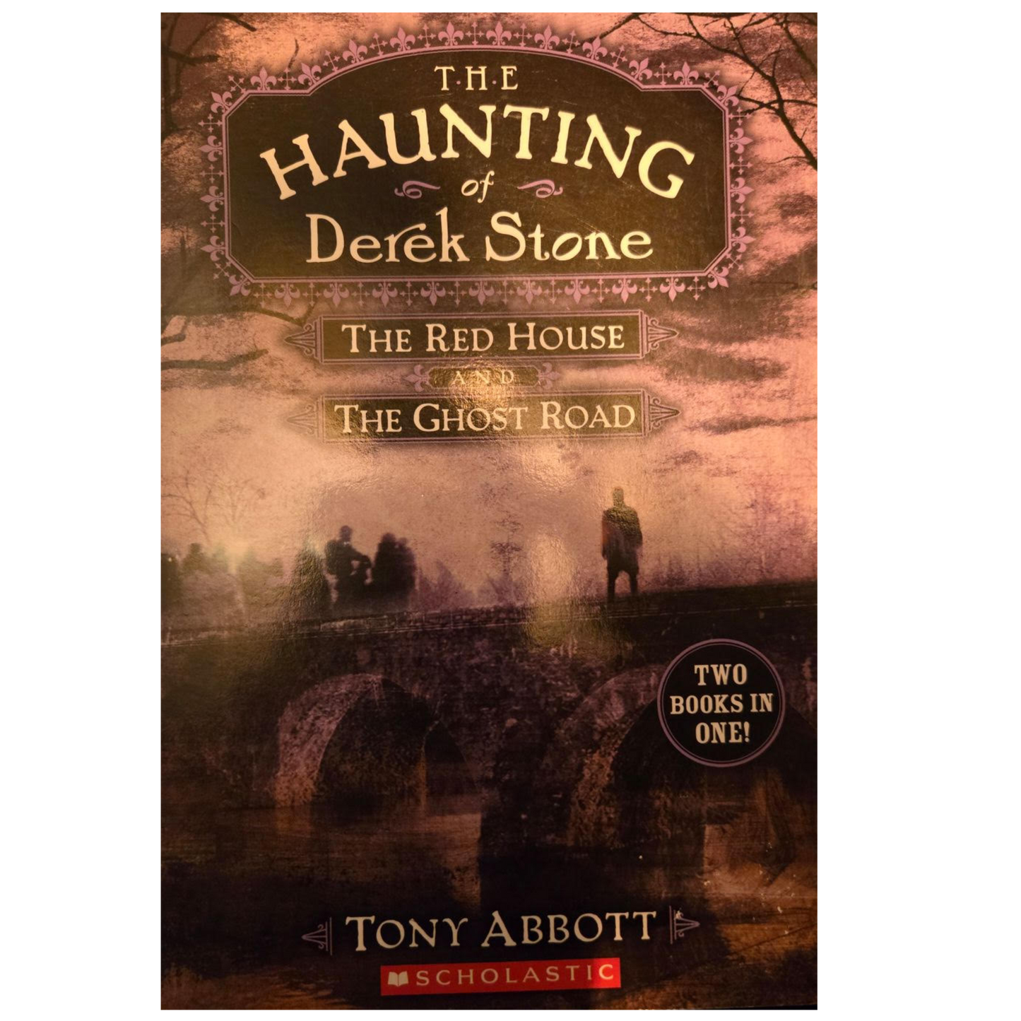 The Haunting of Derek Stone, Two Books in One, the Red House and the Ghost Road -Tony Abbott Used